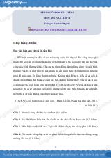 Đề kiểm tra giữa học kì II Ngữ văn 11 - Đề số 13 có lời giải chi tiết